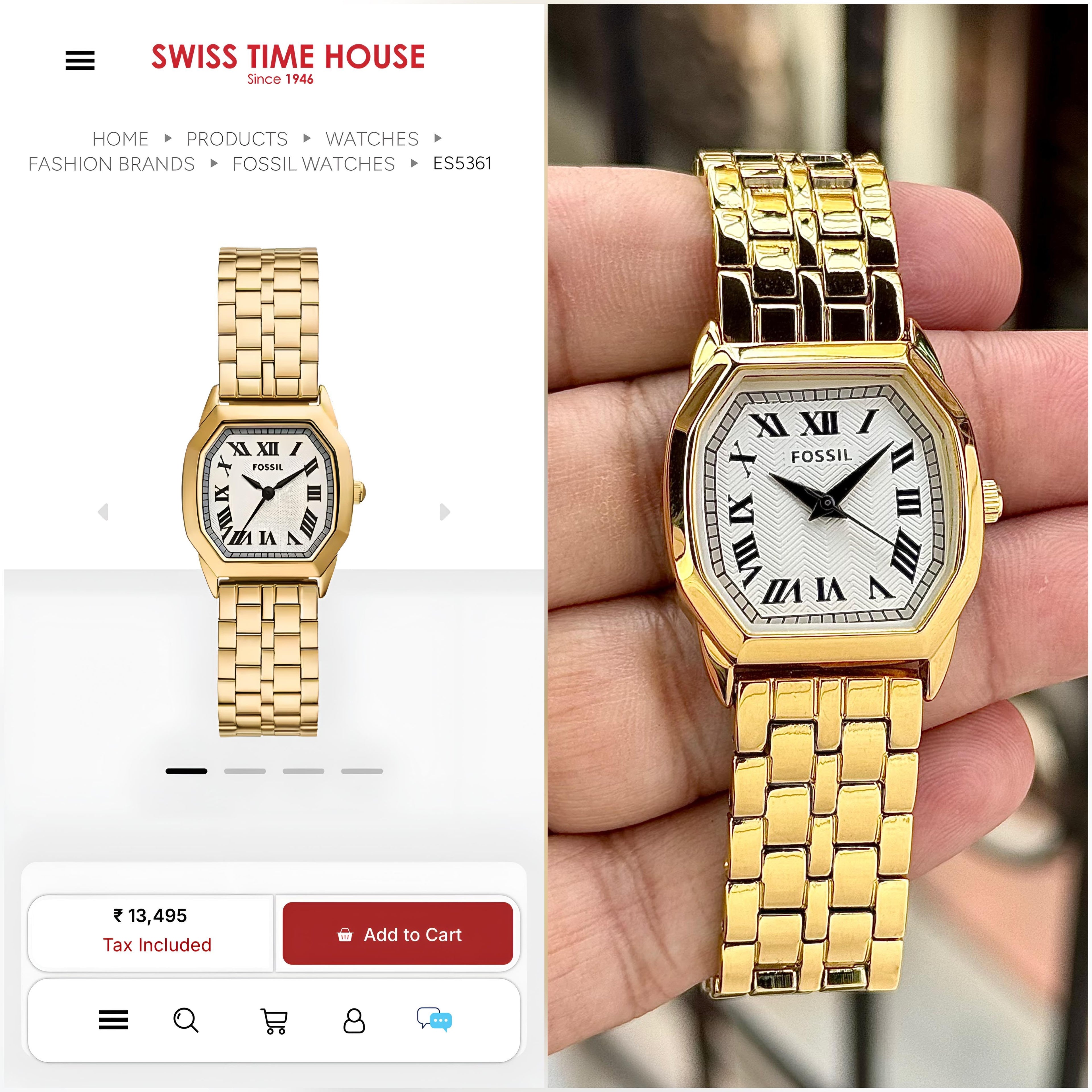 Fossil Harlow