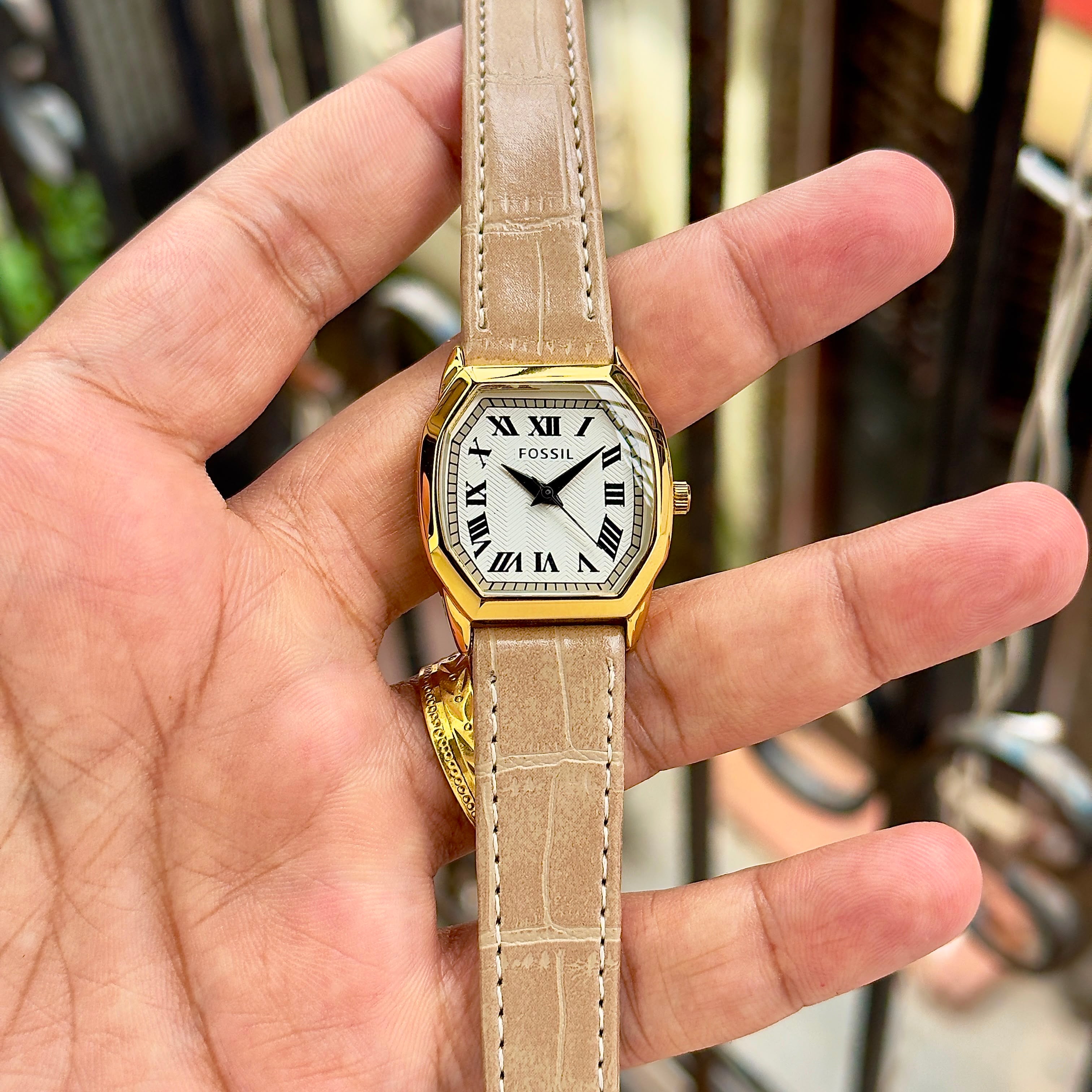 Fossil Harlow
