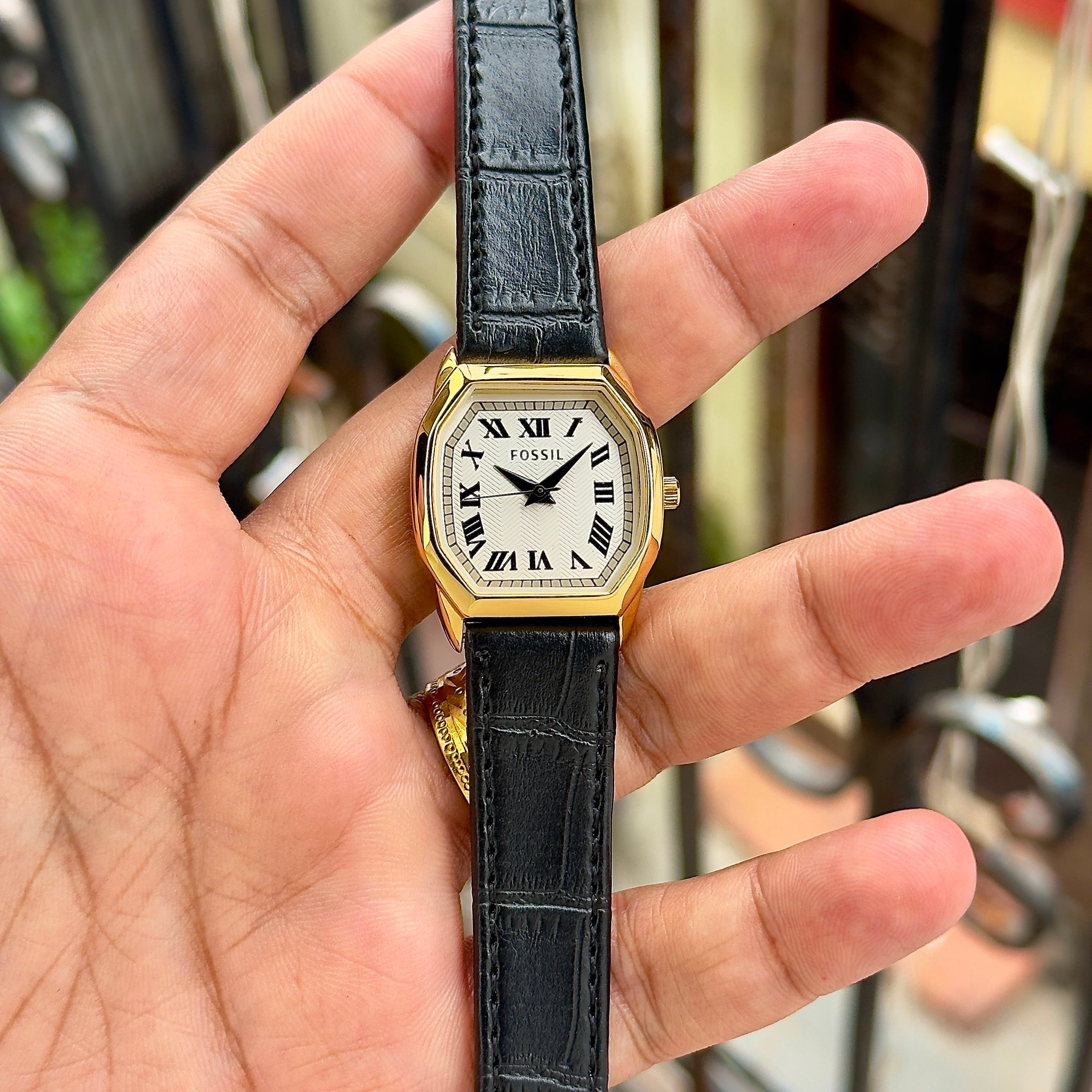 Fossil Harlow