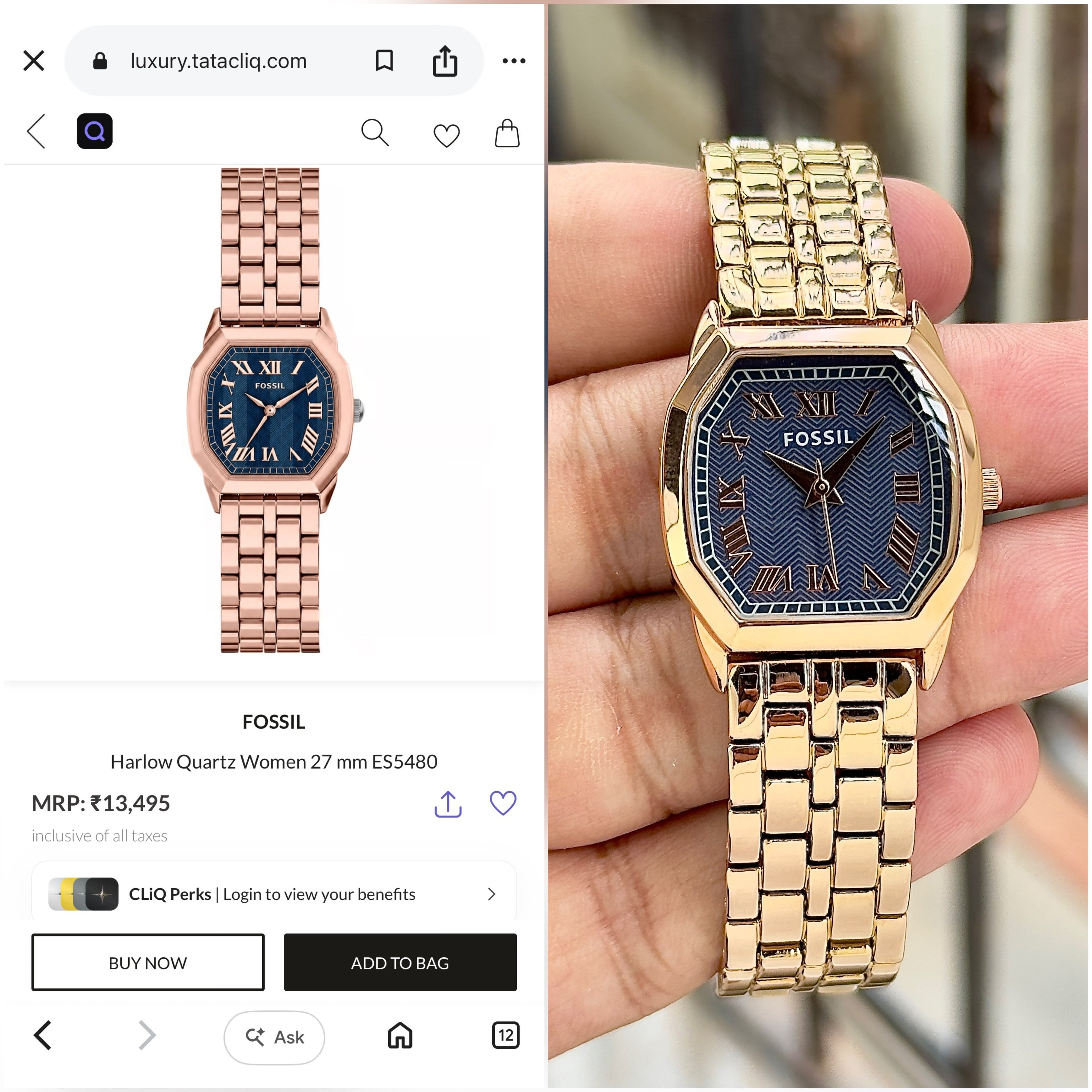 Fossil Harlow