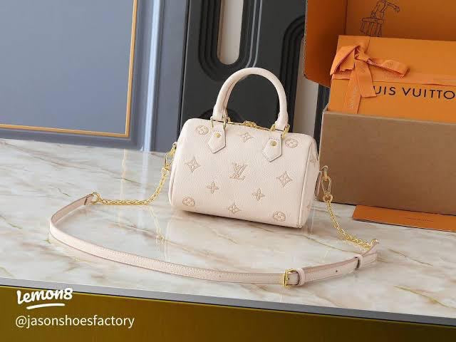 Louis Vuitton Speedy Vibe