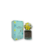 Marc Jacobs Daisy Eau So Fresh Skies Eau de Toilette 75 ml on white background