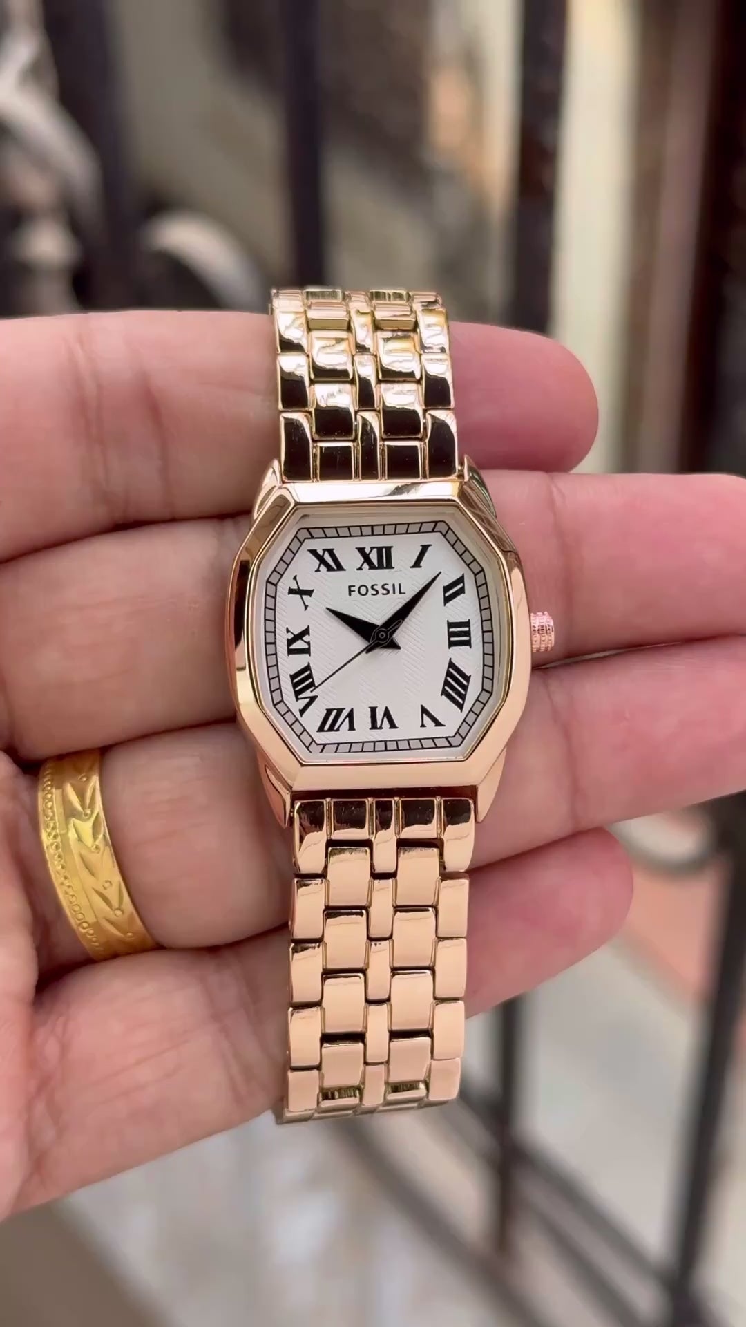 Fossil Harlow